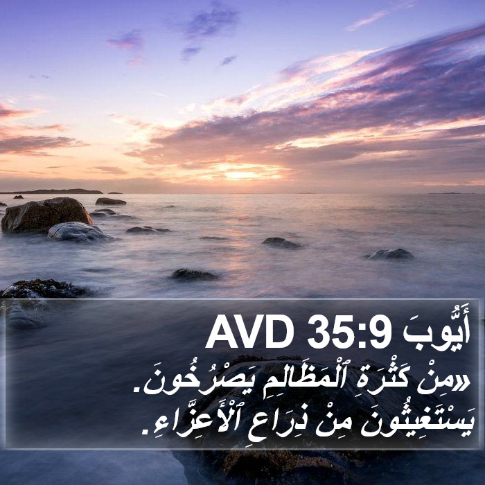 أَيُّوبَ 35:9 AVD Bible Study
