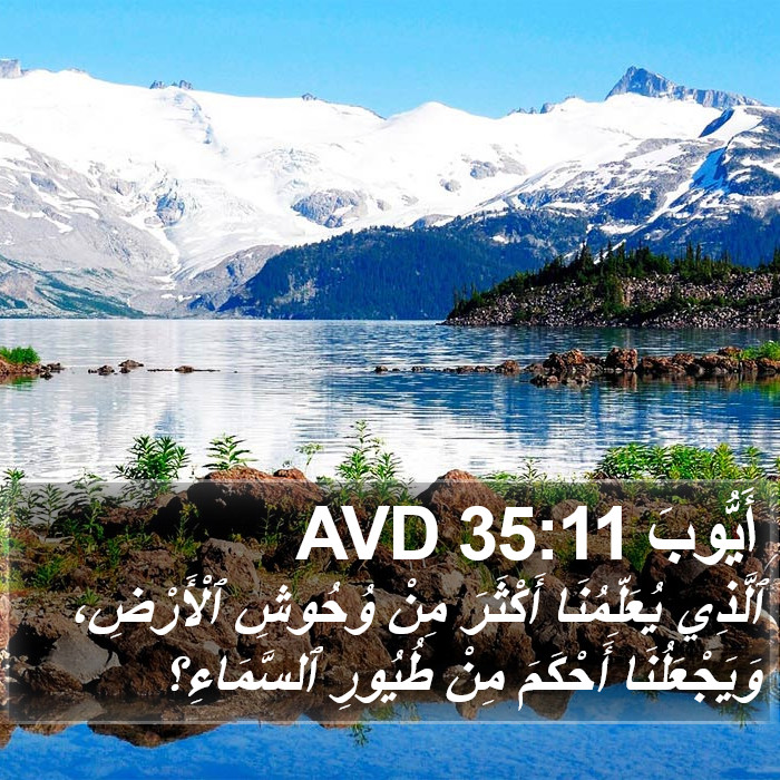 أَيُّوبَ 35:11 AVD Bible Study