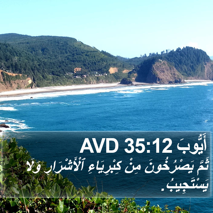 أَيُّوبَ 35:12 AVD Bible Study