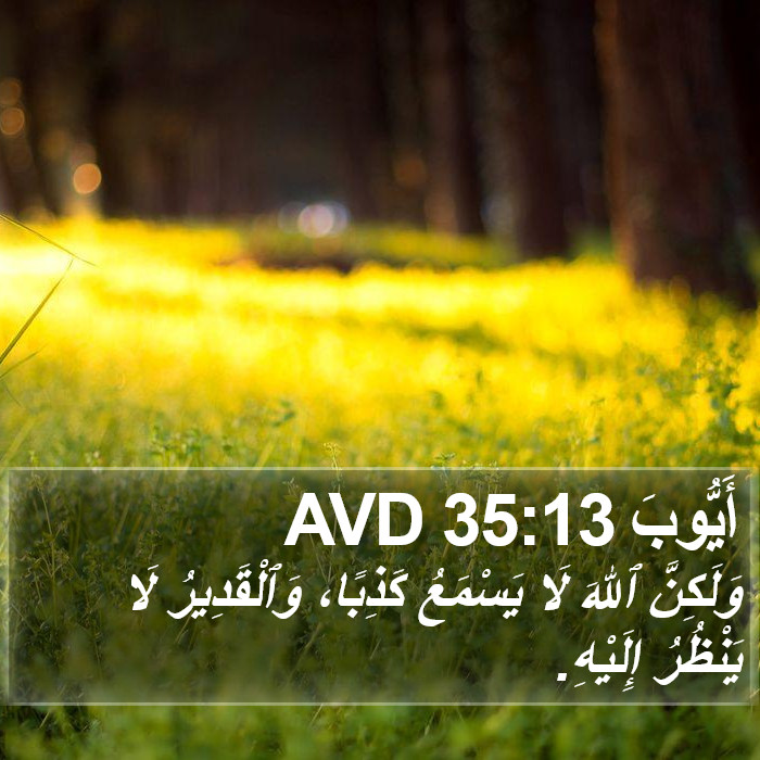 أَيُّوبَ 35:13 AVD Bible Study