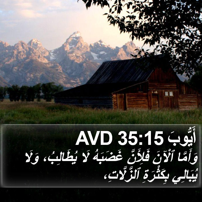 أَيُّوبَ 35:15 AVD Bible Study