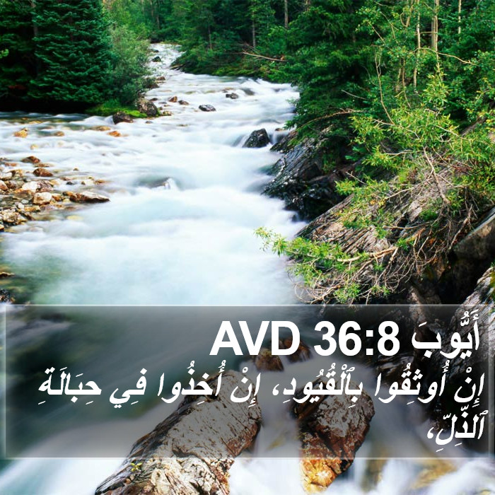 أَيُّوبَ 36:8 AVD Bible Study