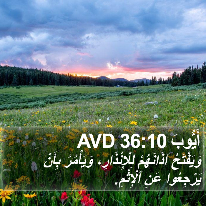 أَيُّوبَ 36:10 AVD Bible Study