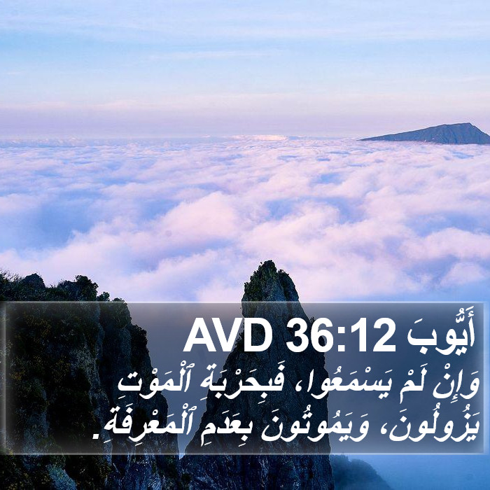 أَيُّوبَ 36:12 AVD Bible Study