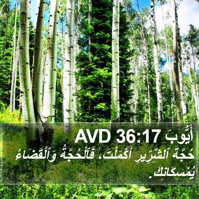 أَيُّوبَ 36:17 AVD Bible Study