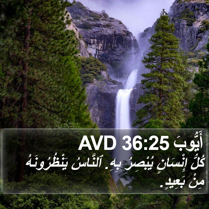 أَيُّوبَ 36:25 AVD Bible Study