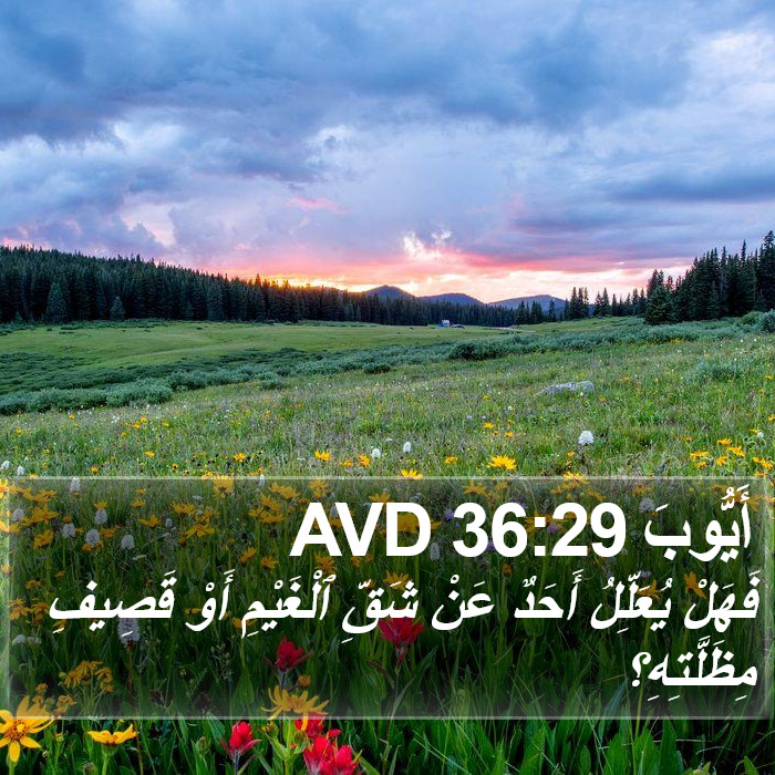أَيُّوبَ 36:29 AVD Bible Study