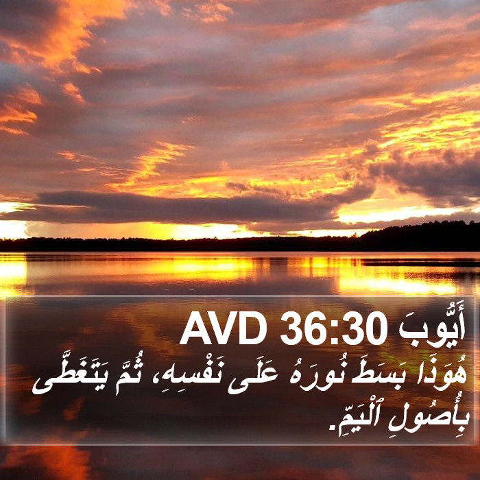 أَيُّوبَ 36:30 AVD Bible Study