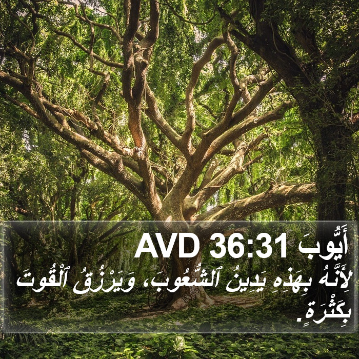 أَيُّوبَ 36:31 AVD Bible Study