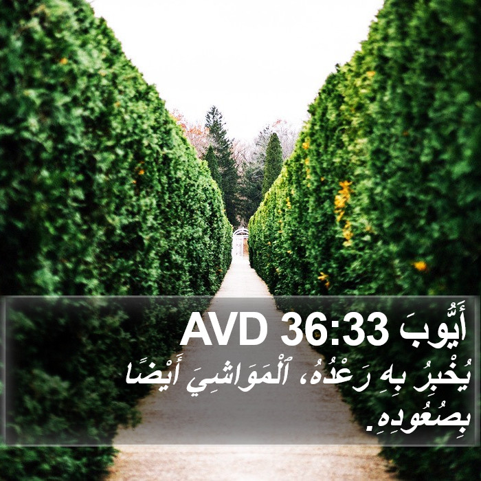 أَيُّوبَ 36:33 AVD Bible Study