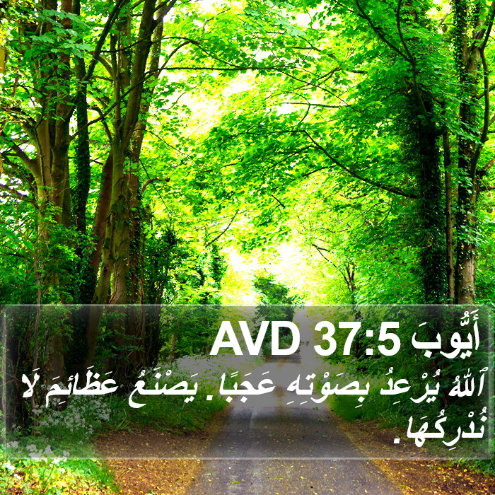 أَيُّوبَ 37:5 AVD Bible Study