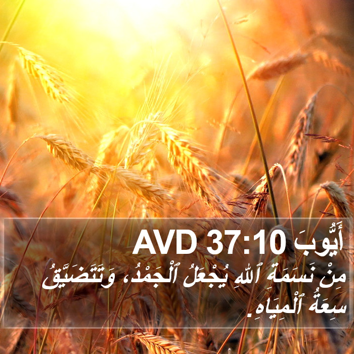 أَيُّوبَ 37:10 AVD Bible Study