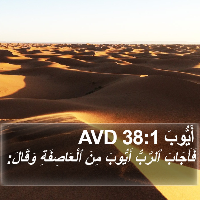 أَيُّوبَ 38:1 AVD Bible Study