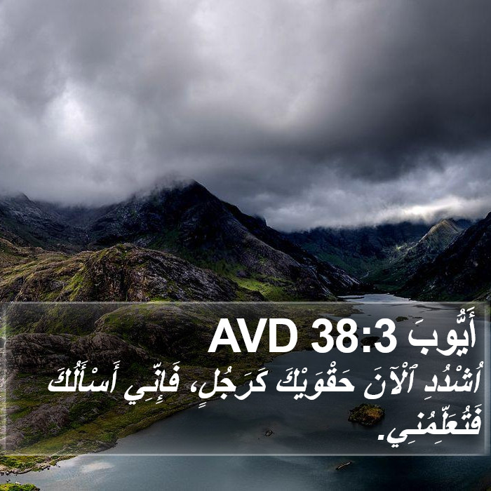 أَيُّوبَ 38:3 AVD Bible Study