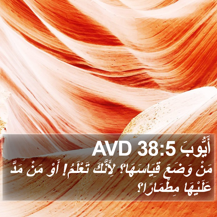 أَيُّوبَ 38:5 AVD Bible Study