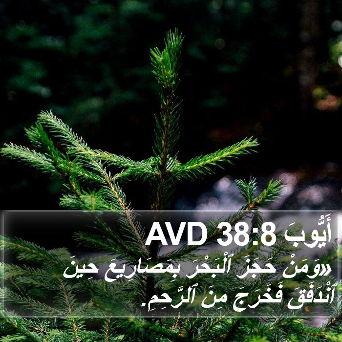 أَيُّوبَ 38:8 AVD Bible Study