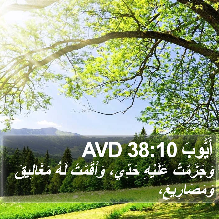 أَيُّوبَ 38:10 AVD Bible Study