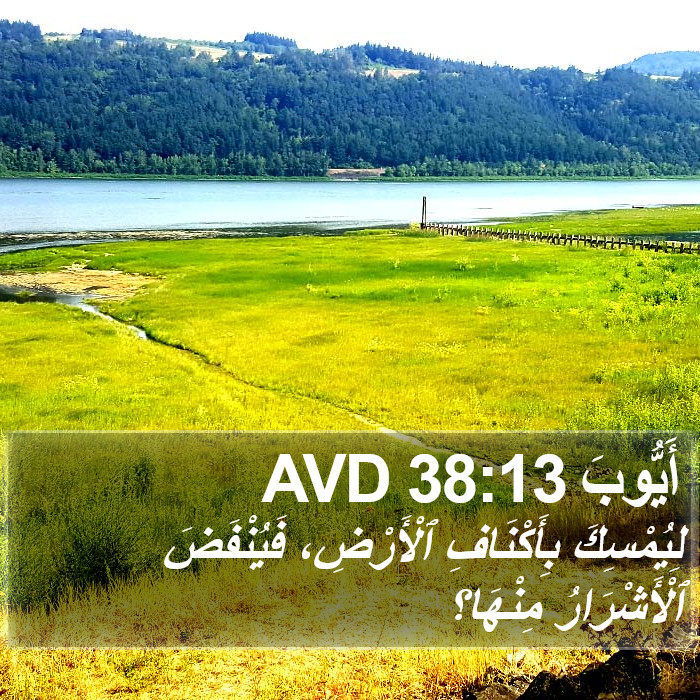 أَيُّوبَ 38:13 AVD Bible Study