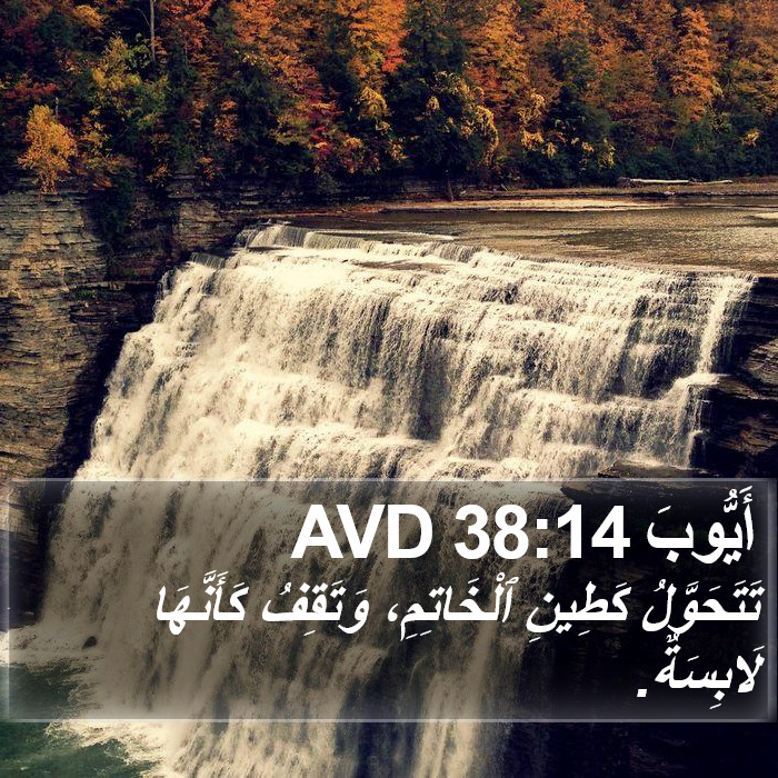 أَيُّوبَ 38:14 AVD Bible Study