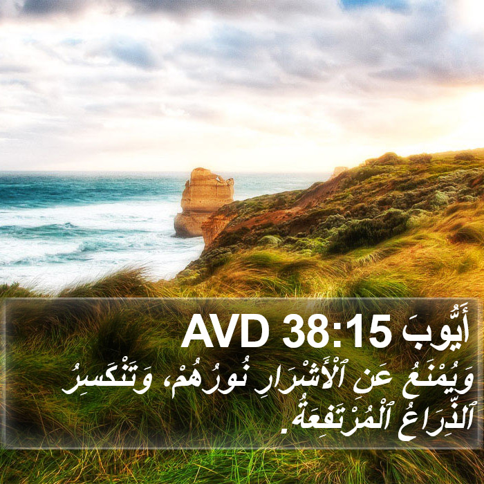 أَيُّوبَ 38:15 AVD Bible Study