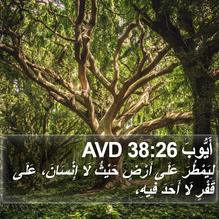 أَيُّوبَ 38:26 AVD Bible Study