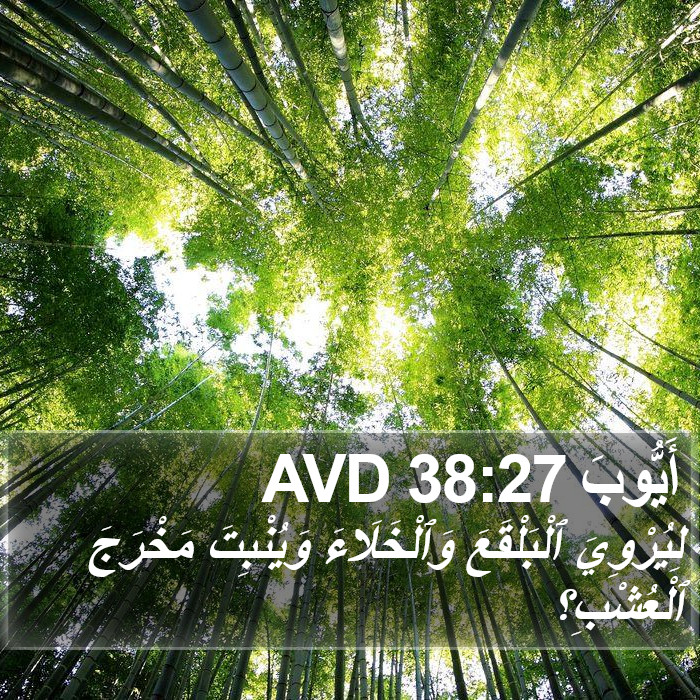 أَيُّوبَ 38:27 AVD Bible Study