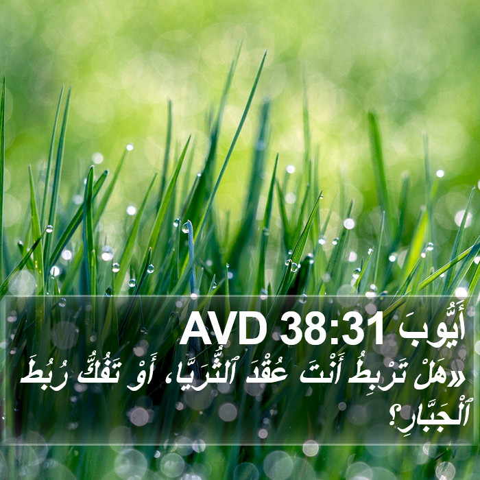 أَيُّوبَ 38:31 AVD Bible Study