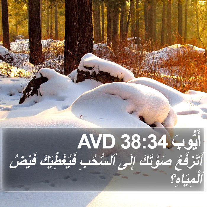 أَيُّوبَ 38:34 AVD Bible Study