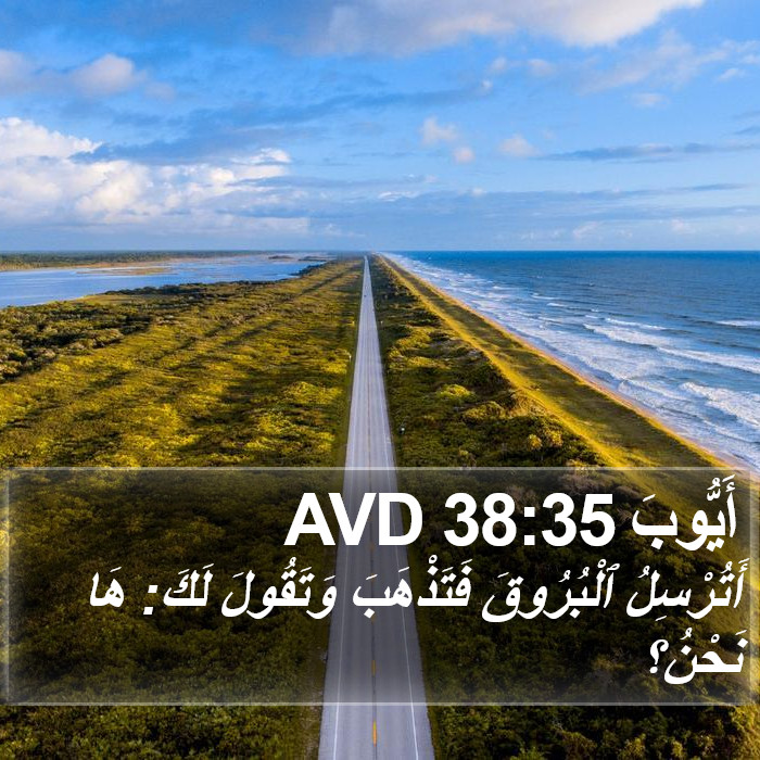 أَيُّوبَ 38:35 AVD Bible Study