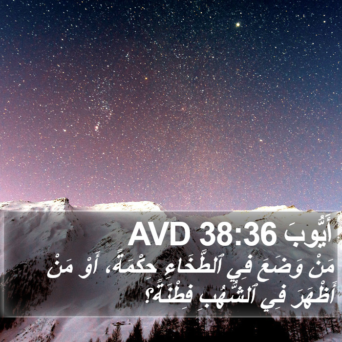 أَيُّوبَ 38:36 AVD Bible Study