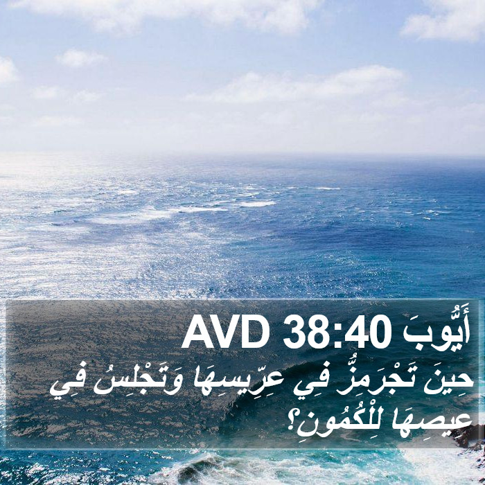 أَيُّوبَ 38:40 AVD Bible Study