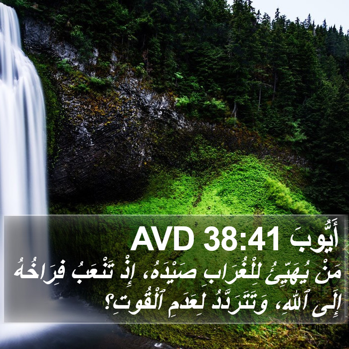 أَيُّوبَ 38:41 AVD Bible Study