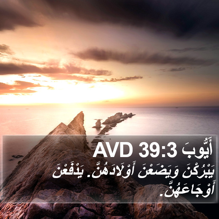 أَيُّوبَ 39:3 AVD Bible Study