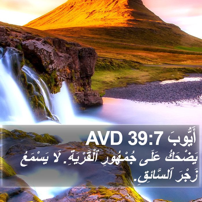أَيُّوبَ 39:7 AVD Bible Study