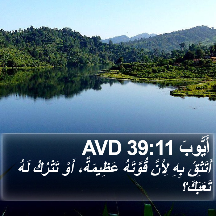 أَيُّوبَ 39:11 AVD Bible Study