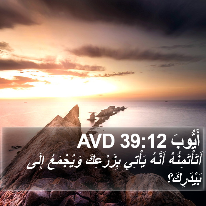 أَيُّوبَ 39:12 AVD Bible Study