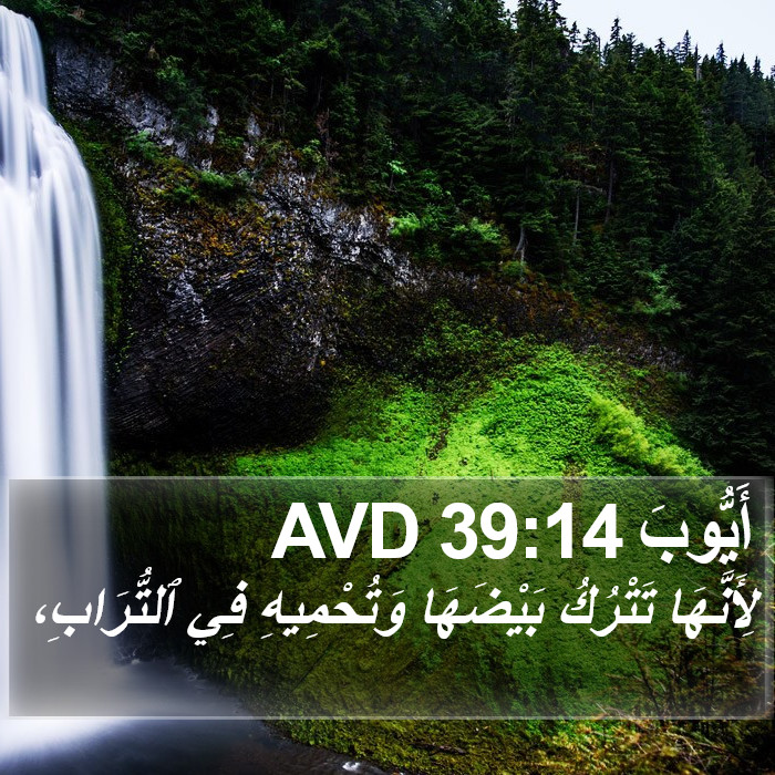 أَيُّوبَ 39:14 AVD Bible Study