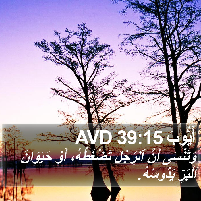 أَيُّوبَ 39:15 AVD Bible Study