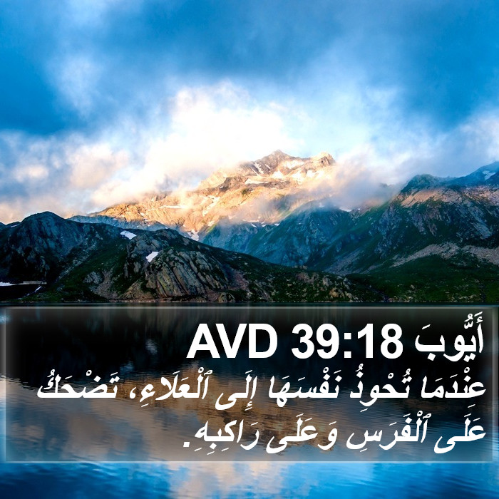 أَيُّوبَ 39:18 AVD Bible Study