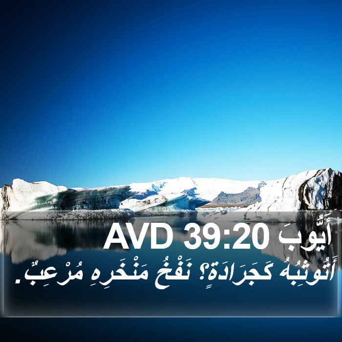 أَيُّوبَ 39:20 AVD Bible Study