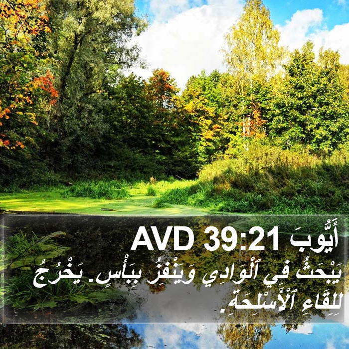 أَيُّوبَ 39:21 AVD Bible Study