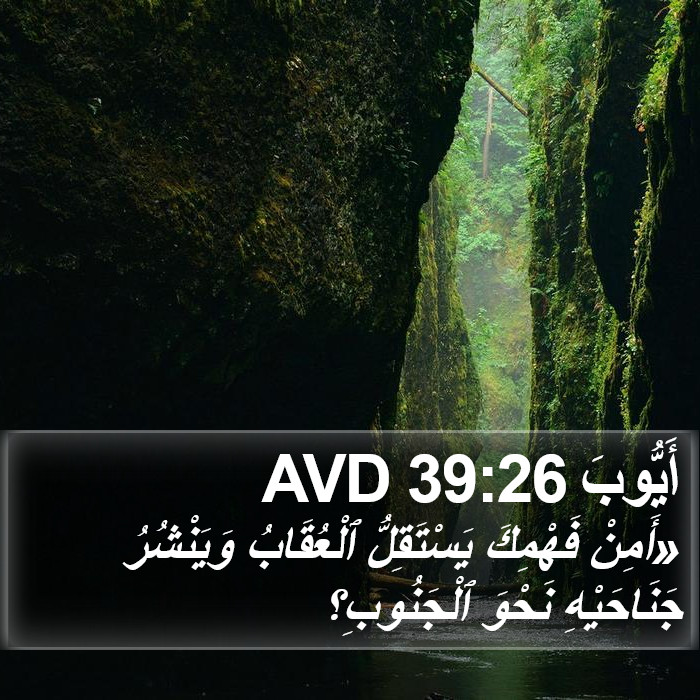أَيُّوبَ 39:26 AVD Bible Study