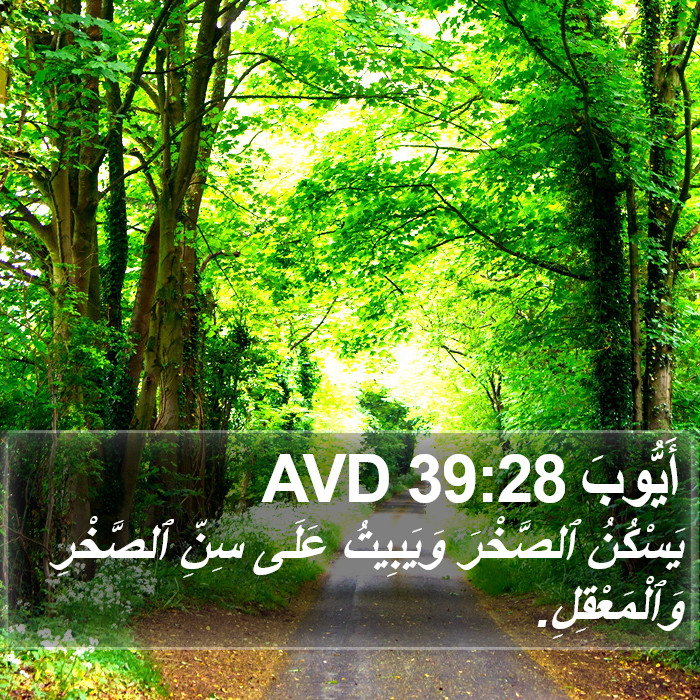 أَيُّوبَ 39:28 AVD Bible Study