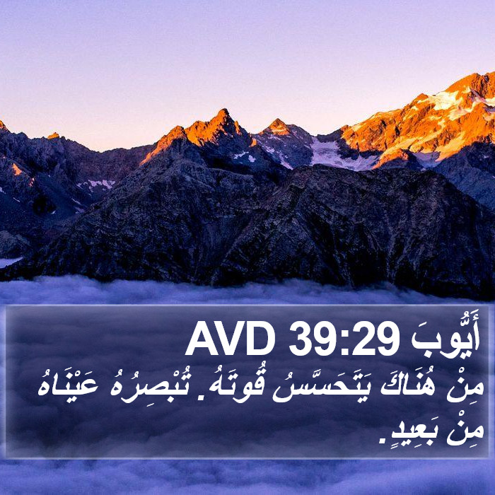 أَيُّوبَ 39:29 AVD Bible Study