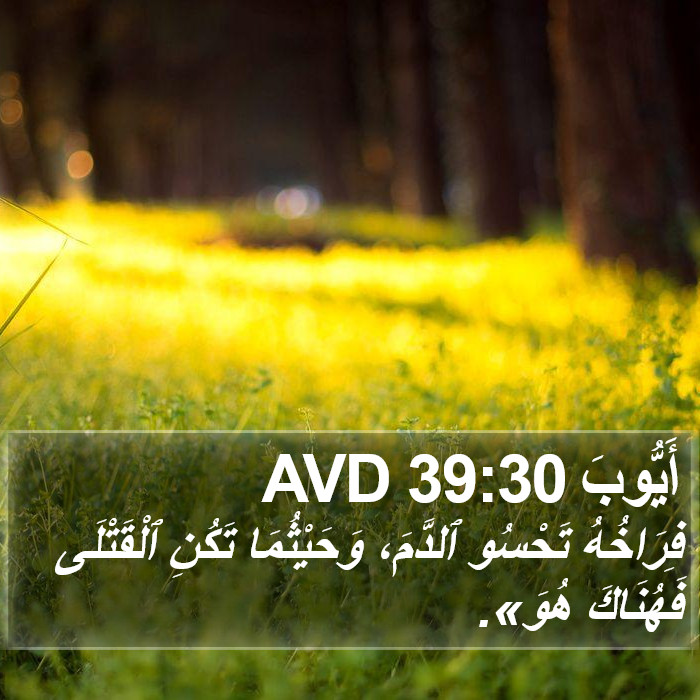 أَيُّوبَ 39:30 AVD Bible Study