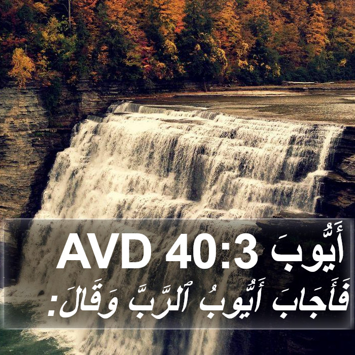 أَيُّوبَ 40:3 AVD Bible Study