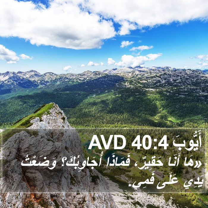 أَيُّوبَ 40:4 AVD Bible Study