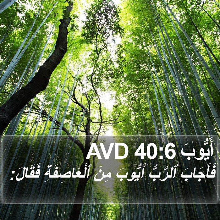 أَيُّوبَ 40:6 AVD Bible Study