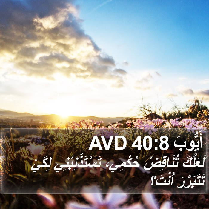 أَيُّوبَ 40:8 AVD Bible Study