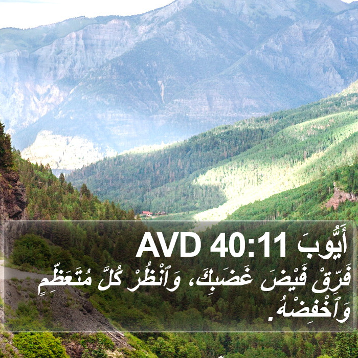 أَيُّوبَ 40:11 AVD Bible Study
